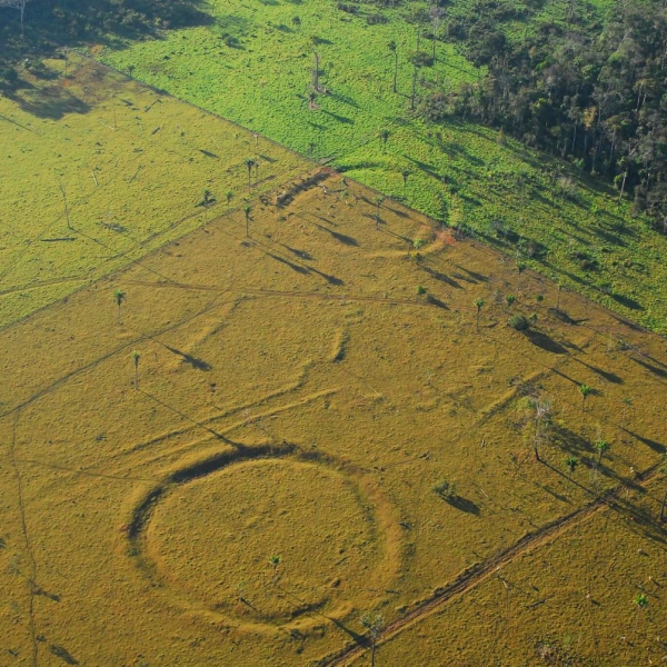 Záhadné geoglyfy. Kredit: J. Watling.