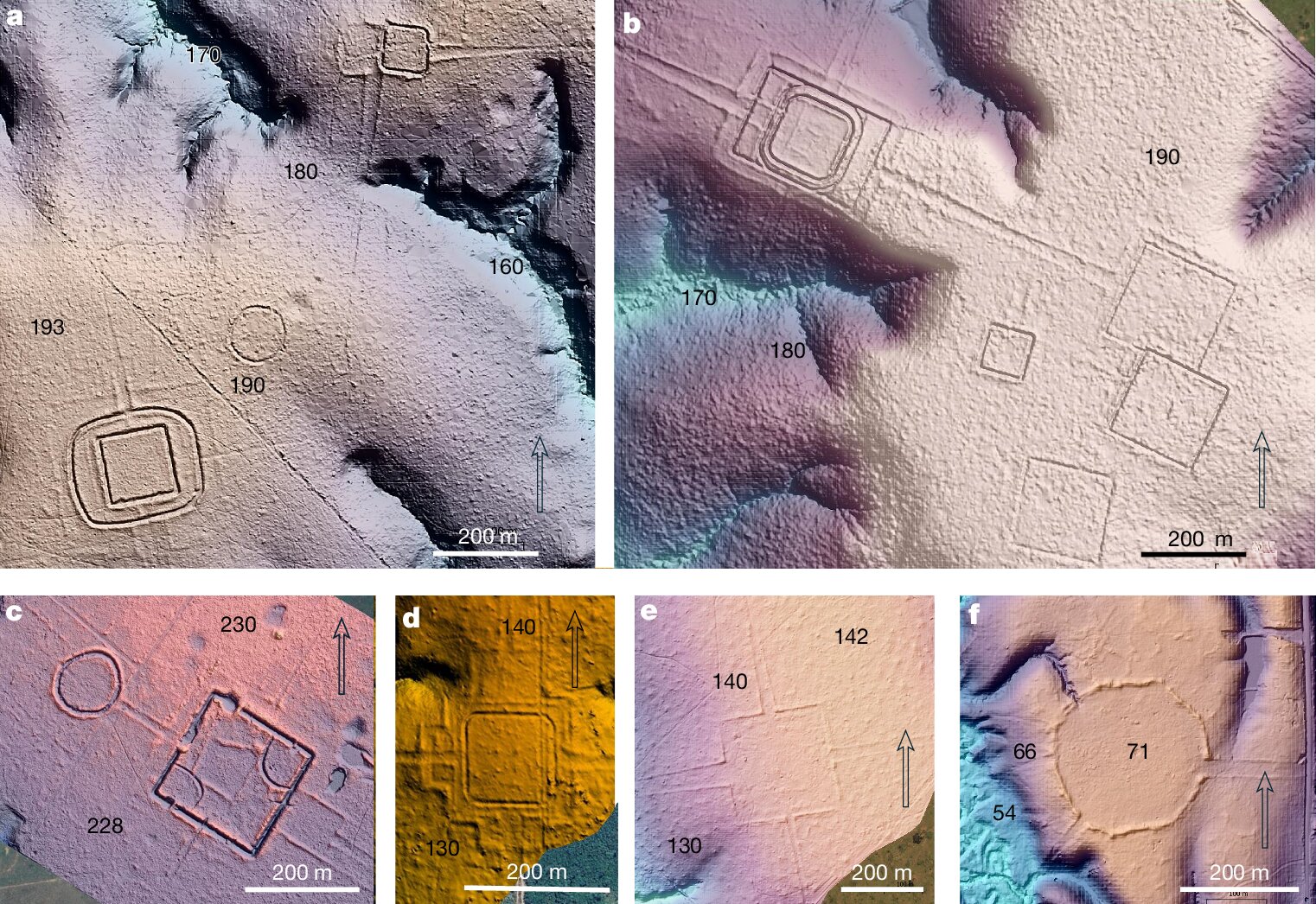 Přehlídka geoglyfů civilizace Krokodýla. Kredit: Pärssinen et al. (2026), Nature.