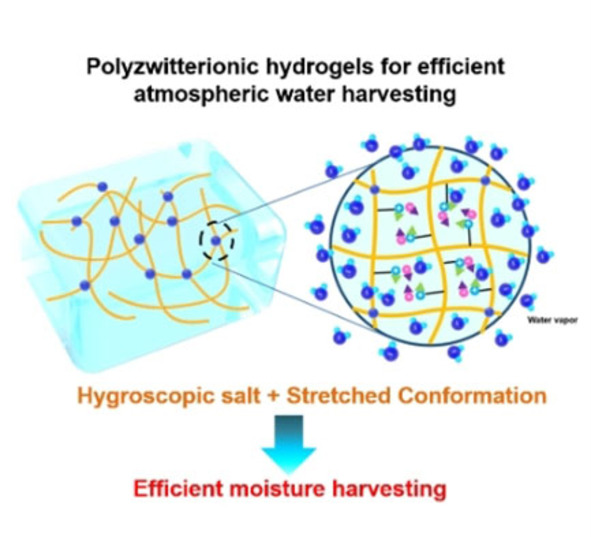 Polyzwitteriontový hydrogel. Kredit: Lei et al. (2022).