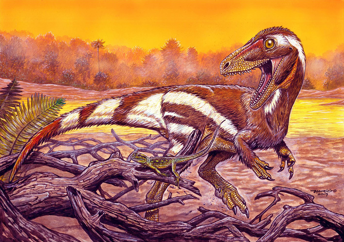 Jedním z téměř pěti desítek nových druhů neptačích dinosaurů, formálně popsaných v loňském roce, byl také raně křídový brazilský célurosaurní teropod Aratasaurus museumnacionali, jehož druhové jméno odráží skutečnost, že fosilie holotypu se štěstím p