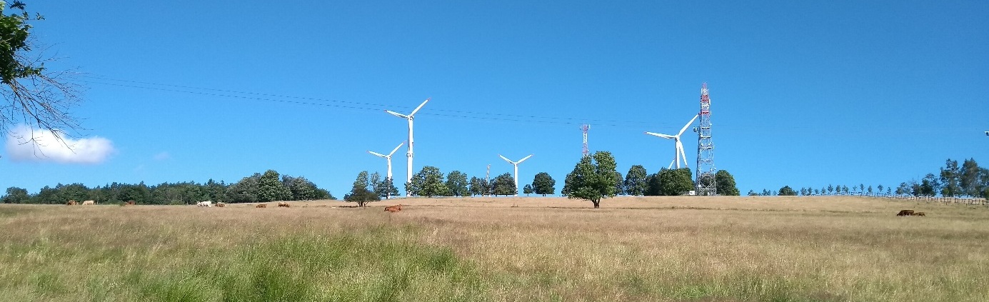 Pomůže nám masivní výstavba větrníků k levné elektřině, jak tvrdí organizace Fakta o klimatu? (Foto autor).