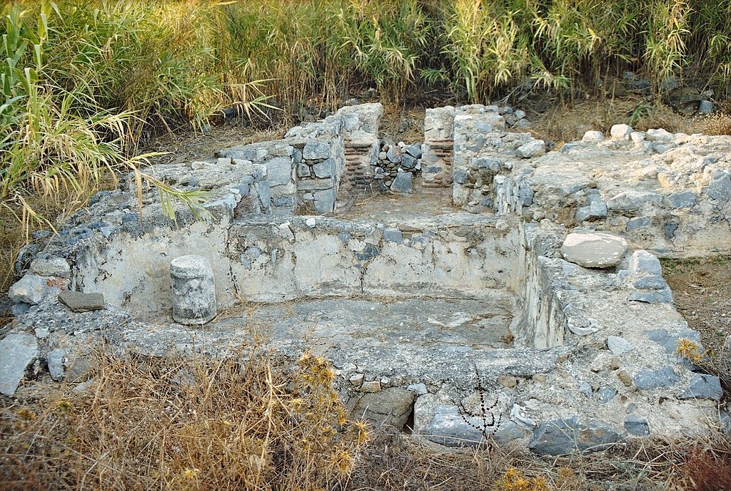 Co to je? Kredit: Zde, Wikimedia Commons. Licence CC 3.0.