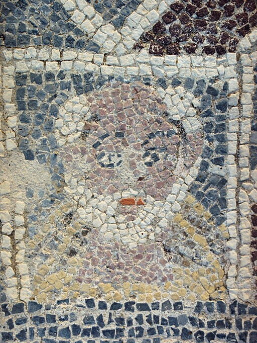 Bělovousý muž proplešlý. Kredit: Zde, Wikimedia Commons. Licence CC 3.0.