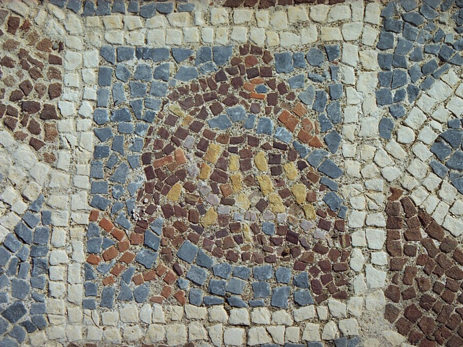 Pelikán. Kredit: Zde, Wikimedia Commons. Licence CC 3.0.