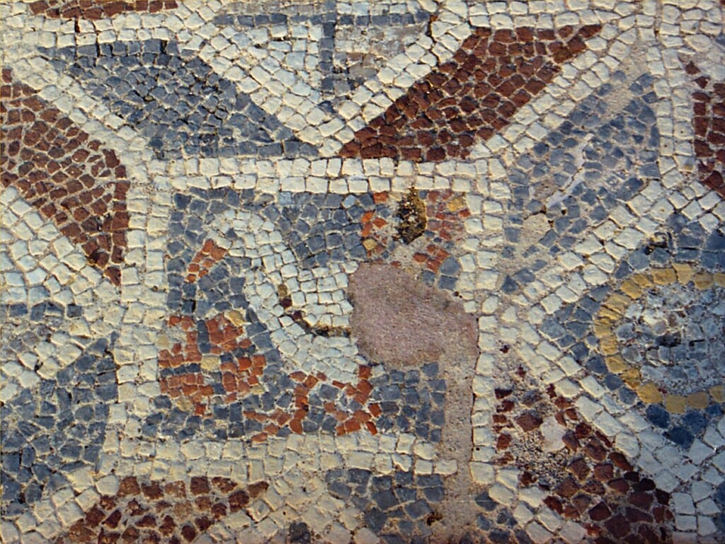 Pták s čímsi. Kredit: Zde, Wikimedia Commons. Licence CC 3.0.