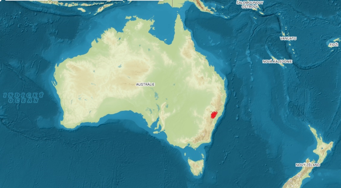 Necelých sto kilometrů západně od australského Sydney se nachází Národní park Wollemi. Virtuální prohlídku nabízejí stránky parku zde. https://www.nationalparks.nsw.gov.au/visit-a-park/regions/sydney-and-surrounds  Video zde. https://www.nationalpark