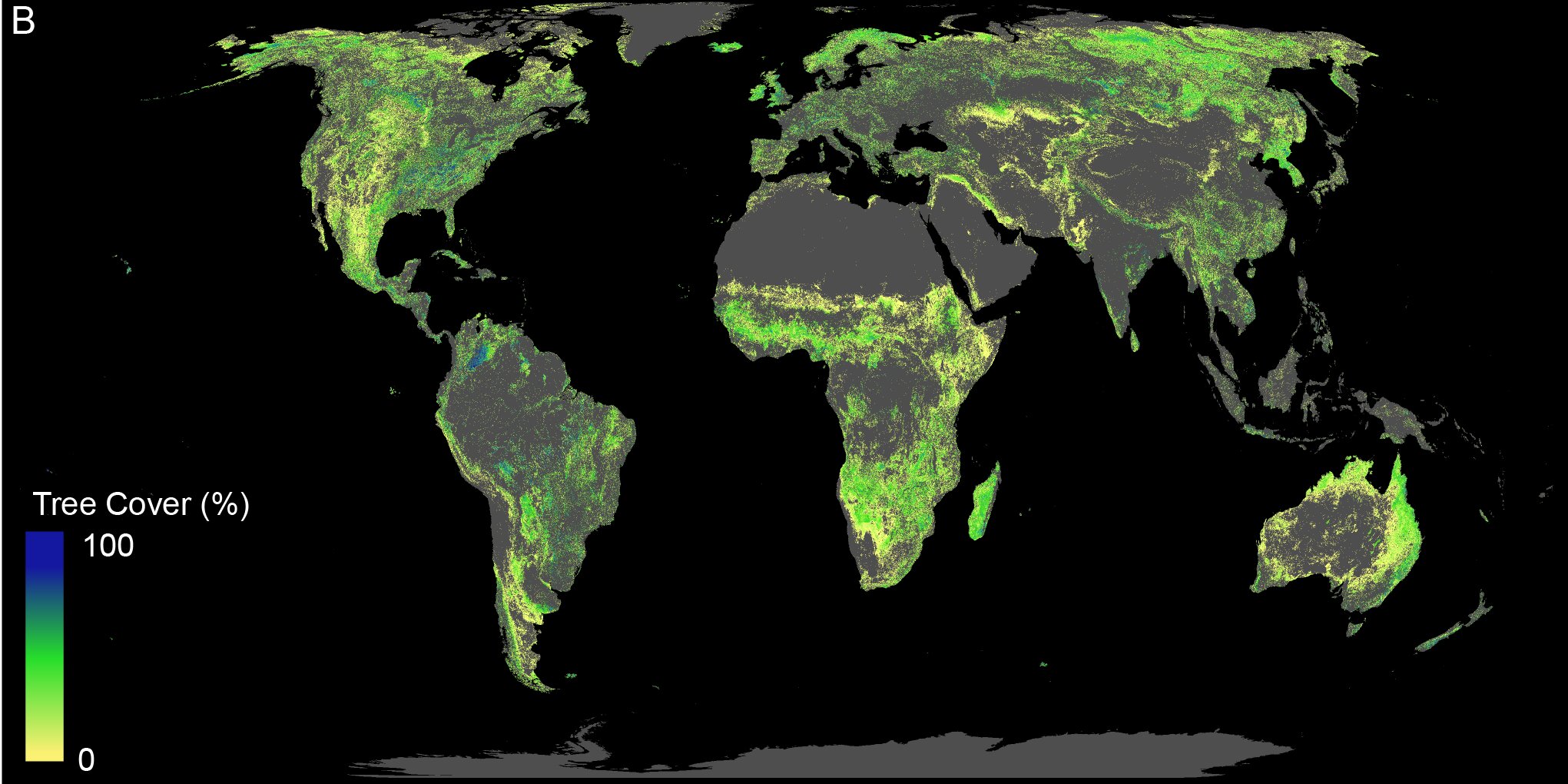 Půda která je k dispozici pro výsadbu lesů (kromě pouští, zemědělských a městských oblastí; aktuální lesy nejsou uvedeny). Kredit: ETH Zurich/Crowther Lab.