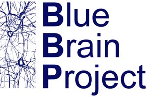 Blue Brain Project.