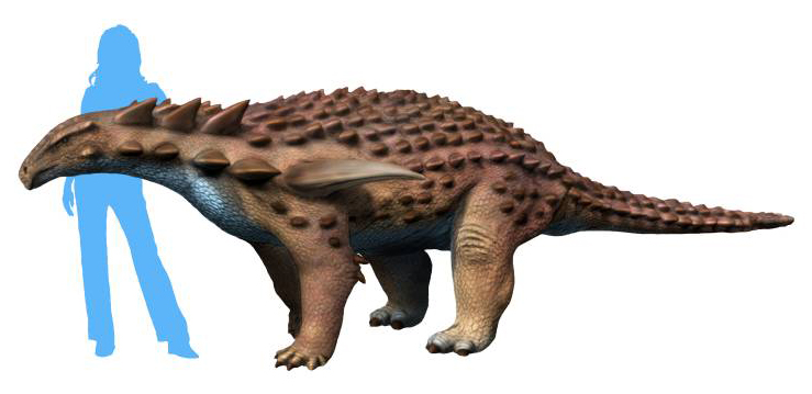 Přibližné vzezření borealopelty. Tento obrněný dinosaurus, který žil v období spodní křídy a jeho kůže byla rezavo-hnědě zbarvená, se živil převážně kapradinami. Spásal také porosty na čerstvě spálených stanovištích, kde jeho oblíbené kapradiny porůs