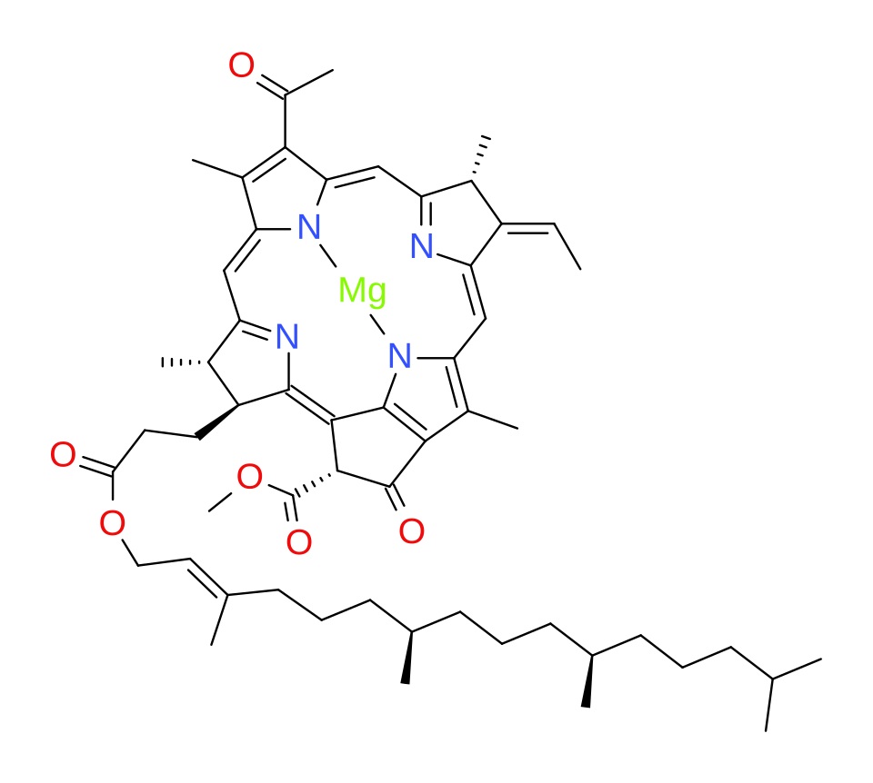 Obr. 7 Bakteriochlorofyl (zdroj: Wikipedia)