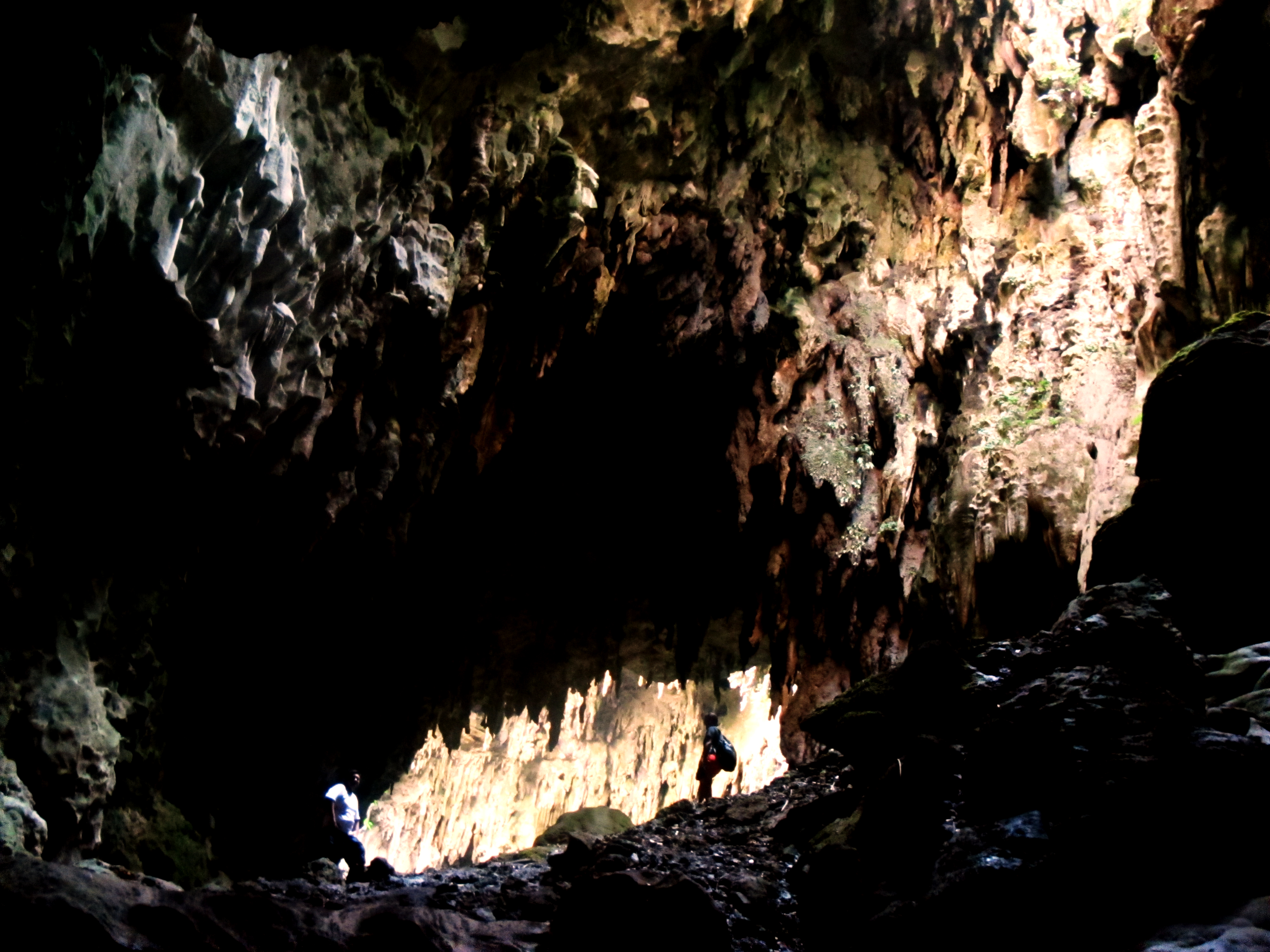 Vnitřní prostor jeskyně Callao Cave na ostrově Luzon. Kredit: Ervin Malicdem. Snímek pořízen v roce 2013. CC BY-SA 4.0         https://en.wikipedia.org/wiki/Callao_Cave#/media/File:Callao_Cave.jpg      
Další obrázky z vykopávek projektu CALLAO CAVE