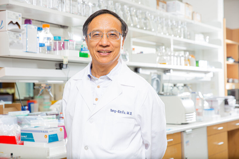 Yan-Xin Fu: Vedoucí týmu a první autor studie: „Střevní bakterie pronikají do nádorů a zvyšují účinnost experimentální imunoterapie zacílené na protein CD47“. (Kredit: UTSW).