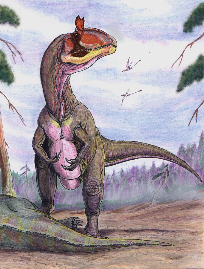 Mezi antarktickĂ© dinosaury patĹ™Ă­ i zajĂ­mavĂ˝ teropod Cryolophosaurus ellioti, kterĂ˝ proslul svĂ˝m â€želvisovskĂ˝mâ€ś hĹ™ebĂ­nkem na lebce. Tento prvnĂ­ dravĂ˝ dinosaurus znĂˇmĂ˝ z ledovĂ©ho kontinentu byl objeven v roce 1991, pÄ›t let po vĹŻbec 