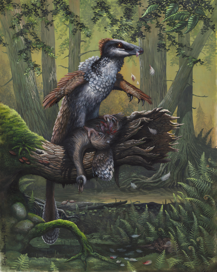 Velký dromeosaurid druhu Dakotaraptor steini začíná hodovat na mrtvém těle uloveného ornitomimida rodu Ornithomimus. Fosilie těchto teropodních dinosaurů známe ze sedimentů geologického souvrství Hell Creek a představují tak jedny z posledních žijící