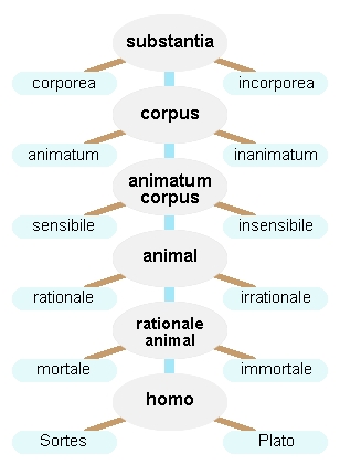 Porfyriův strom podle Petrus Hispanus tractatus II, ed. L.M. de Rijk, 20. Kredit: I.R. Annie, Wikimedia Commons. Licence CC 3.0.