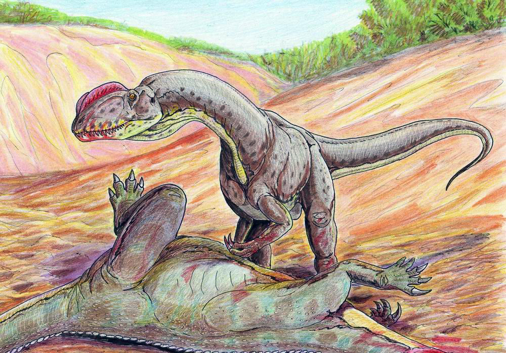 Je otázkou, jak silný zápach vydávala rozevřená ústa hodujících teropodních predátorů, jako byl zobrazený Sinosaurus triassicus z rané jury jižní Číny. Na ilustraci si tento až šest metrů dlouhý dravec pochutnává na zabitém sauropodomorfovi druhu Yun