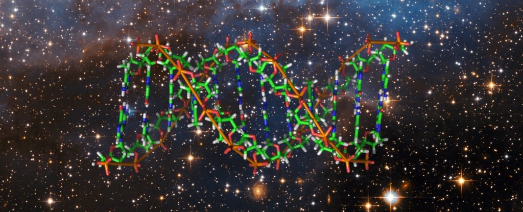 Genetické metody jsou už ve vesmíru jako doma. Kredit: ScienceAlert.