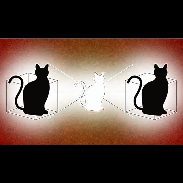 Schrödingerova elektromagnetická kočka z koherentních mikrovlnných fotonů. Kvantová kočka se vyskytuje ve dvou krabicích současně. Podobně tomu je i s předpovězenými mentiony. Kredit: Michael S. Helfenbein / Yale University.