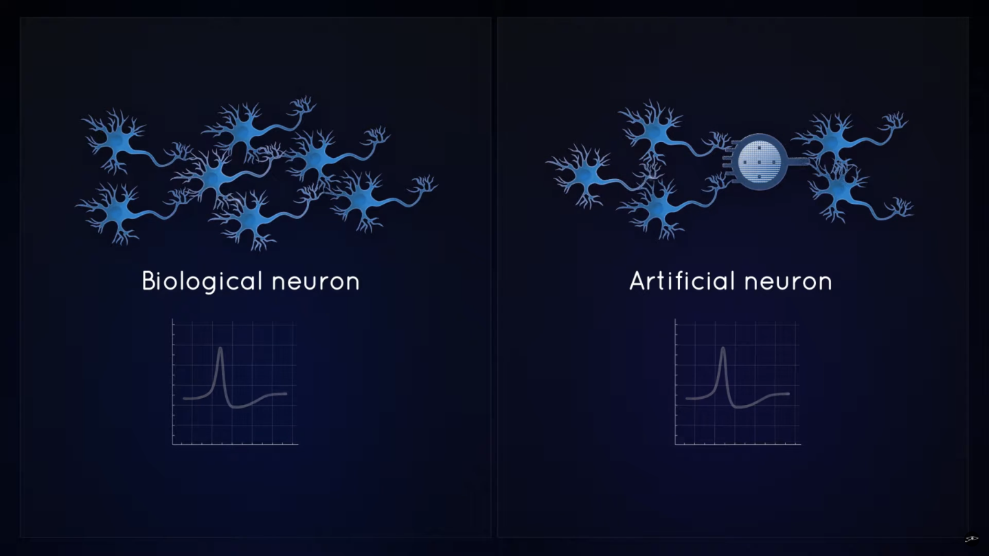 Přírodní a umělý neuron. Kredit: Axorus.