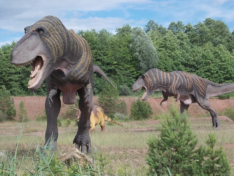 Modely dvou dospělých tyranosaurů a triceratopse v areálu JuraParku Krasiejów. Na hlavách jim často posedávají jejich opeření evoluční potomci. V pozadí výchoz svrchnotriasových sedimentů, pocházejících z doby, která těmto dinosaurům předcházela asi 