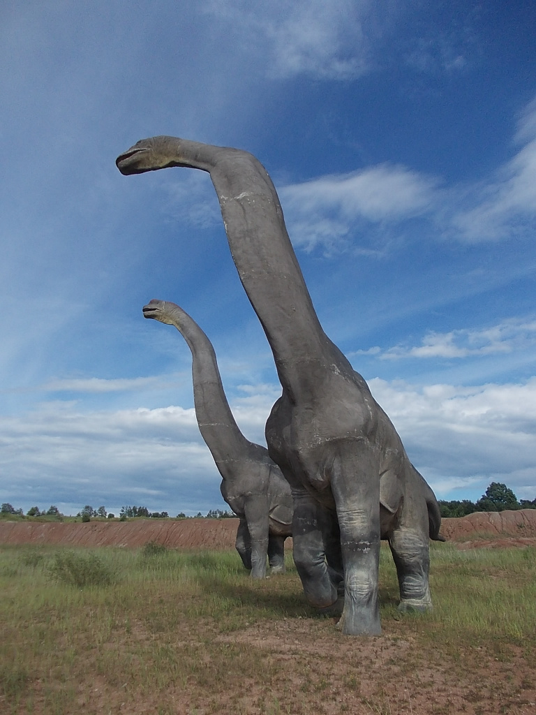 Další povedené modely z JuraParku Krasiejów, tentokrát pozdně jurského sauropoda brachiosaura. Modely představují asi 3/4 skutečné velikosti těchto dinosaurů, přesto jsou z blízkého pohledu impozantní. Kredit: Autor článku.