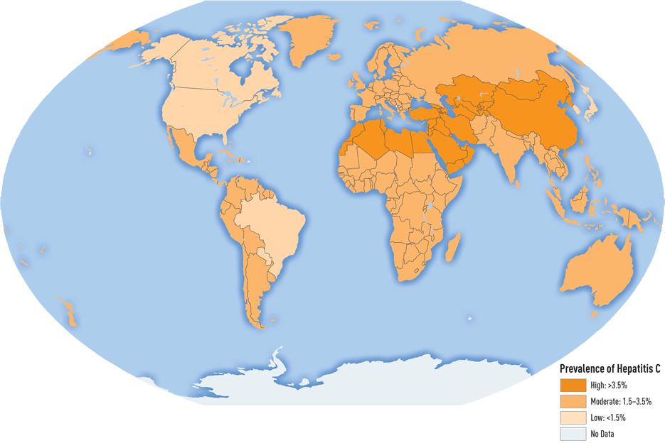 Epidemiologie hepatitidy E. Kredit: World Health Organization. The Global Prevalence of Hepatitis E Virus Infection and Susceptibility: A Systematic Review.Â http://whqlibdoc.who.int/hq/2010/WHO