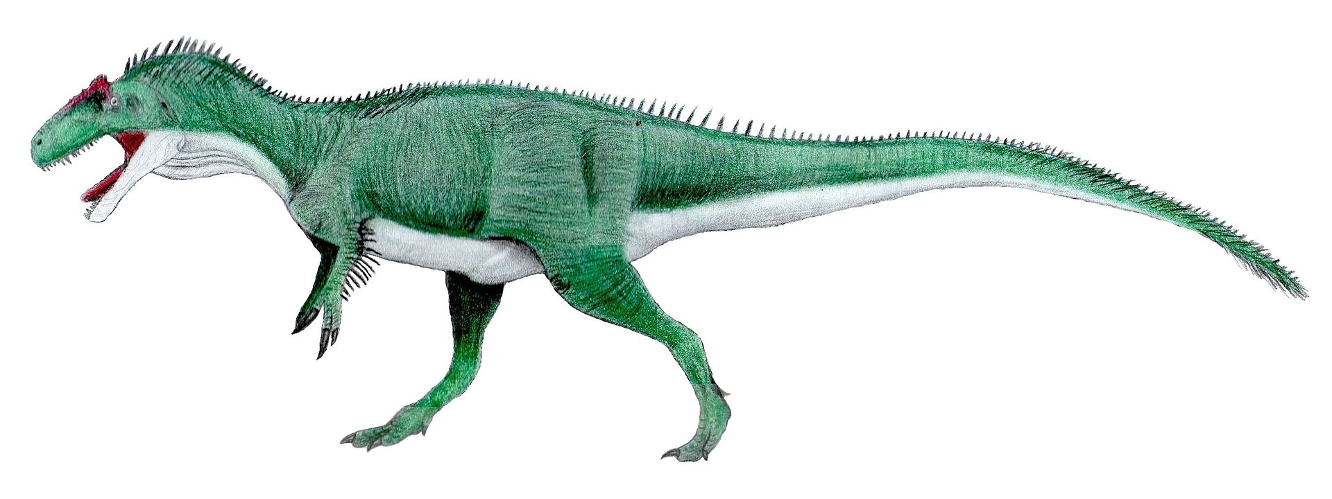 Obrazová rekonstrukce pravděpodobného vzezření kontroverzního druhu Epanterias amplexus. Tento obří teropod představoval patrně dominantního predátora, soupeřícího o kořist s dalšími obřími dravými dinosaury z ekosystémů souvrství Morrison, jako byl 