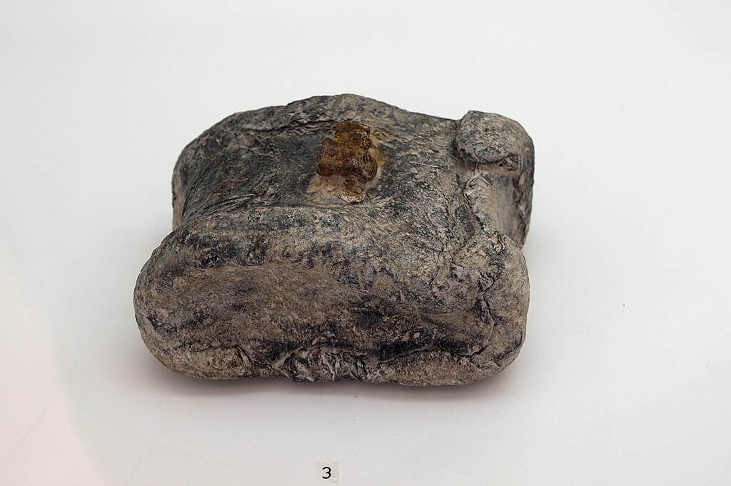 Olověné skokanské závaží ve tvaru kloubní kosti, mělo železné držadlo. Z akropole A antického města Praisos, snad raně klasická doba. Archeologické muzeum v Sitii. Kredit: Zde, Wikimedia Common. Licence CC 4.0.