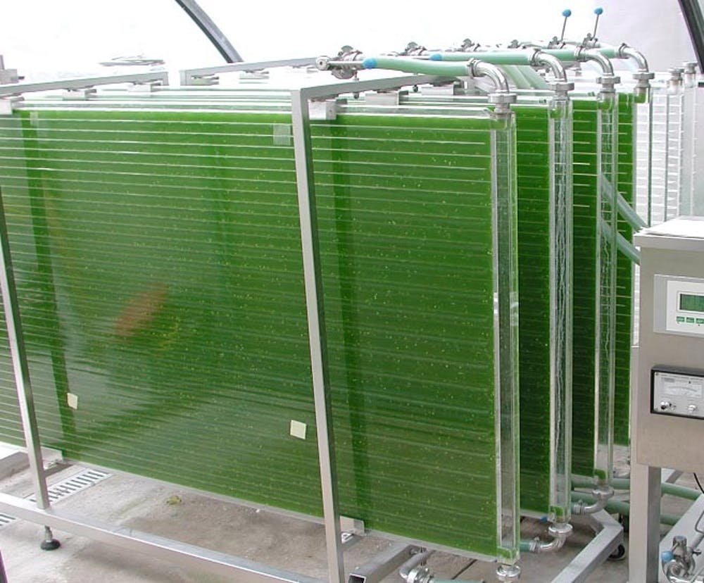 Fotobioreaktor s řasami „krmený“ oxidem uhličitým a světlem. (Kredit: IGV Biotech, CC BY-SA)