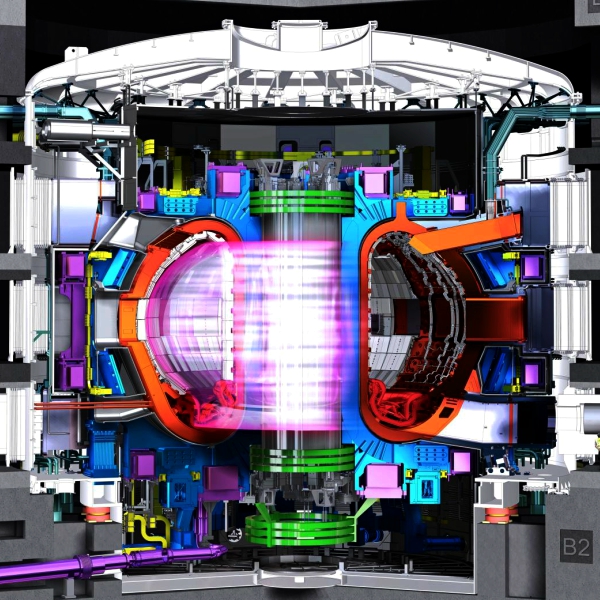 Tokamak plnĂ˝ plasmy. Kredit: ITER.