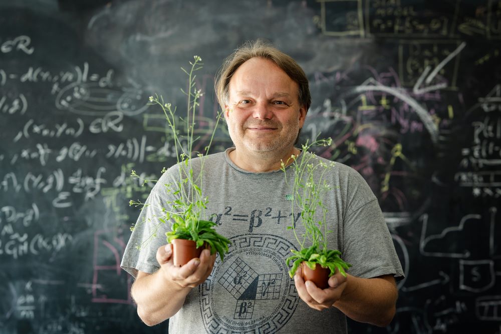 Jiří Friml (Institute of Science and Technology) na snímku se svou  modelovou rostlinou Arabidopsis thaliana. Kredit: FWF/Luiza Puiu.