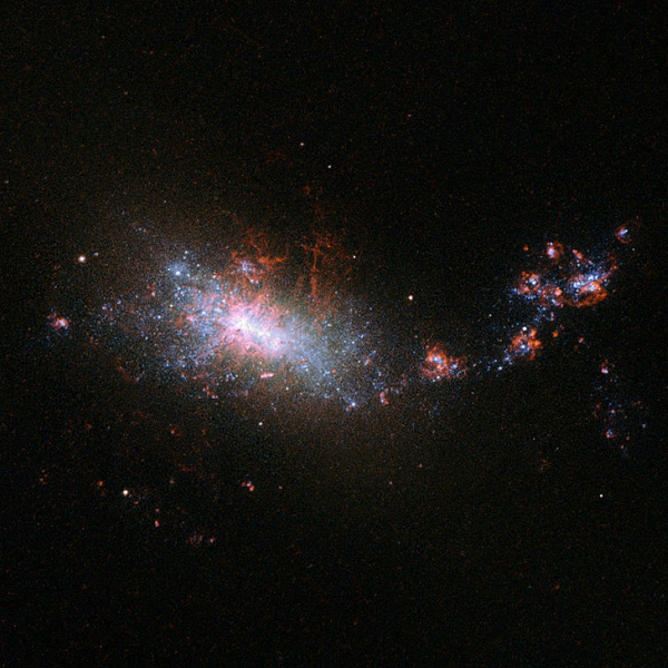 TrpasliÄŤĂ­ galaxie NGC 1140, bouĹ™livÄ› tvoĹ™Ă­cĂ­ novĂ© hvÄ›zdy. Kredit: ESA / Hubble & NASA.