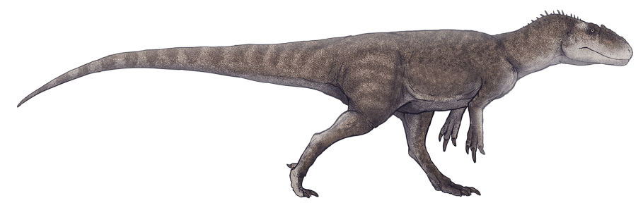 Gasosaurus constructus byl menší teropod žijící v období střední jury a jeho fosilie byly objeveny na území provincie S’-čchuan v roce 1985. Dosahoval délky jen kolem 4 metrů a hmotnosti asi 150 až 400 kilogramů. Představoval jednoho z téměř tří stov