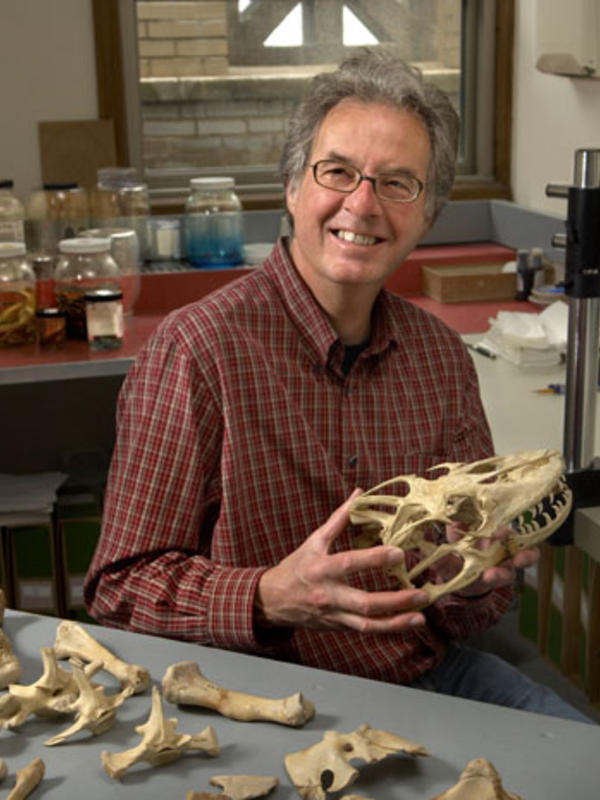 Olivier Rieppel. Na obrĂˇzku pĂłzuje  s lebkou jinĂ©ho tvora dinosauĹ™Ă­ Ă©ry. (Kredit Field Museum)