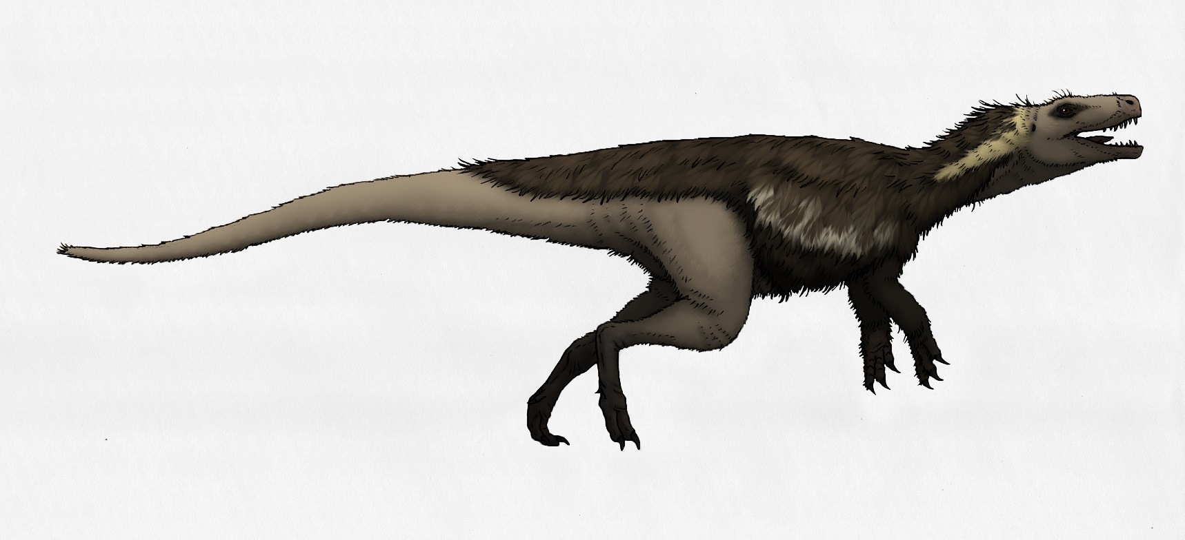 Výtvarná rekonstrukce přibližného vzezření herrerasaurida druhu Gnathovorax cabreirai. Tento 233 milionů let starý masožravý dinosaurus patří k fauně geologického souvrství Santa Maria, nacházejícího se na území jižní Brazílie, a je tak jedním z nejs