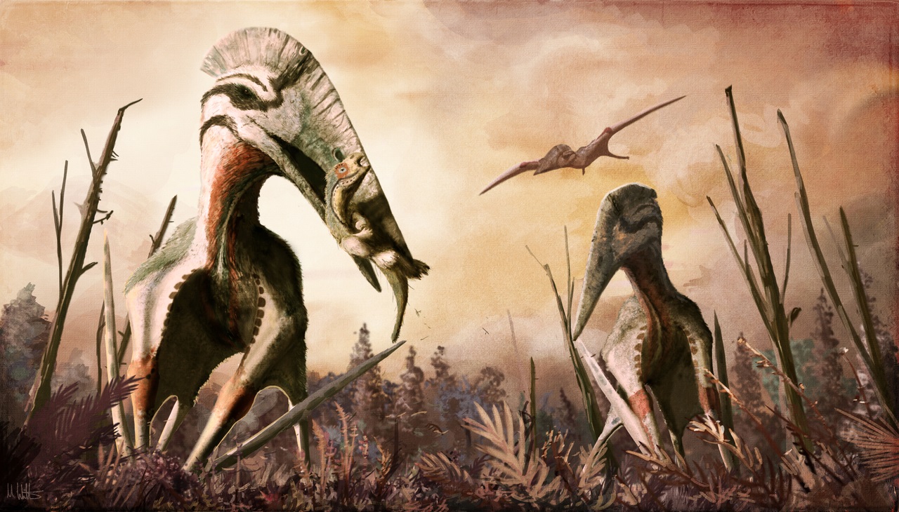 Moderní představa obřího azdarchidního pterosaura druhu Hatzegopteryx thambema coby dominantního terestrického predátora, schopného ulovit a pozřít i zvířata střední velikosti. Zde jedinec v popředí svým mohutným zobákem uchvátil subadultního jedince