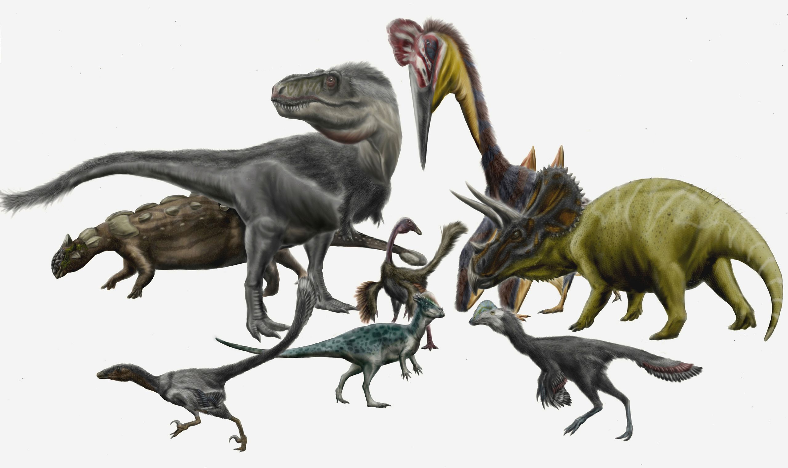 Tyranosauři nebyli zdaleka jedinými dinosauřími obyvateli pozdně křídových severoamerických ekosystémů. Jak se ale ukazuje, paleontologové první poloviny minulého století se velmi mýlili, když druh T. rex považovali za vzácný a řídce se vyskytující. 