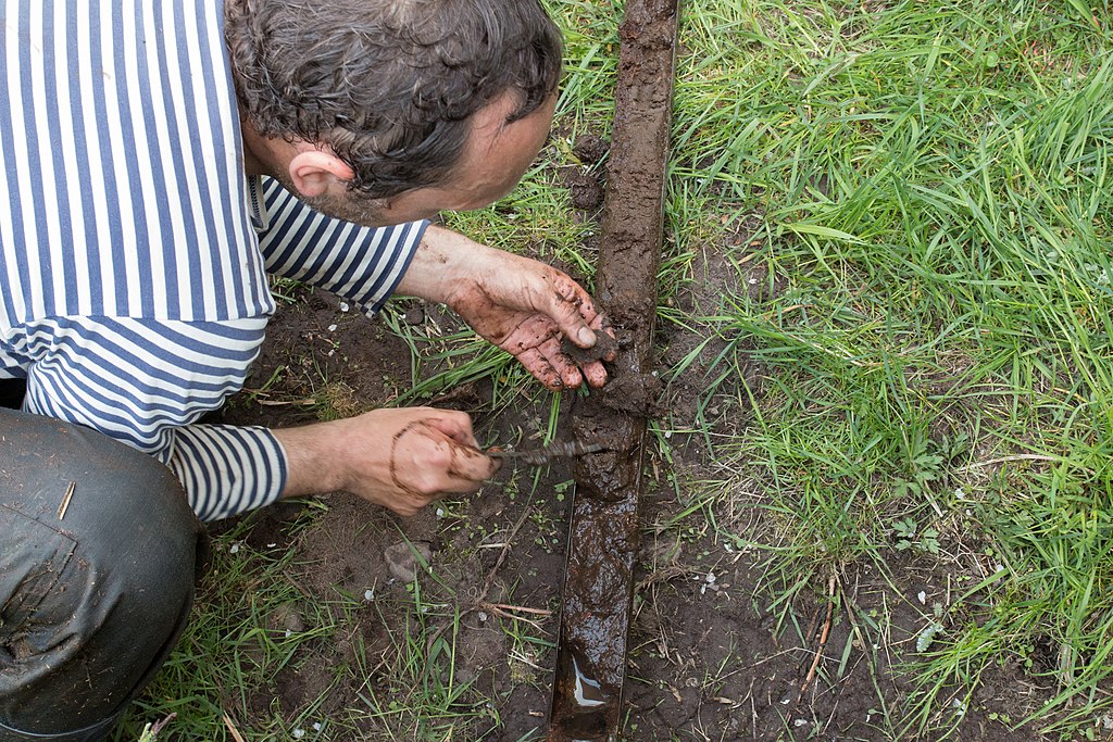Vypadá to na kvalitní vzorek. Teď jde o to uchovat souslednost vrstev. Rozdělení na všechno možné a určování pylových zrn se bude provádět až v Praze. Kredit: Zde, Wikimedia Commons. Licence CC 4.0.
