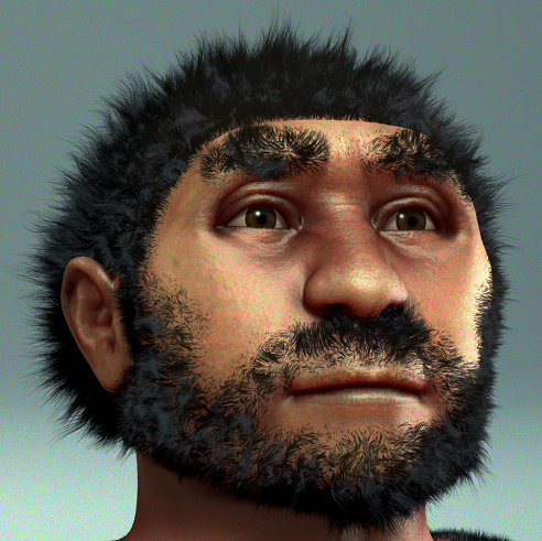 Rekonstrukce vzhledu člověka vzpřímeného pekingského, latinsky  Homo pekinensis je poddruh člověka vzpřímeného (homo erectus). Zdroj: Cicero Moraes. CC BY-SA 4.0.