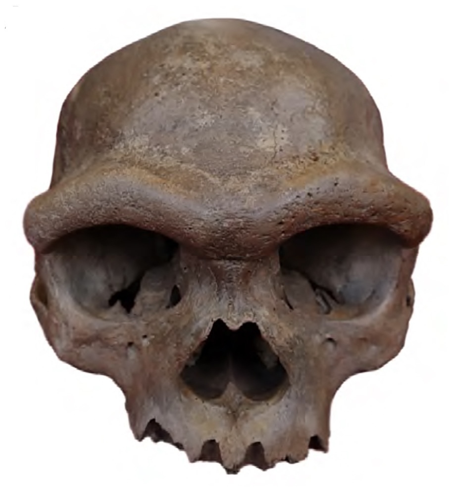 Zdroj: Fu et al. (2025)   