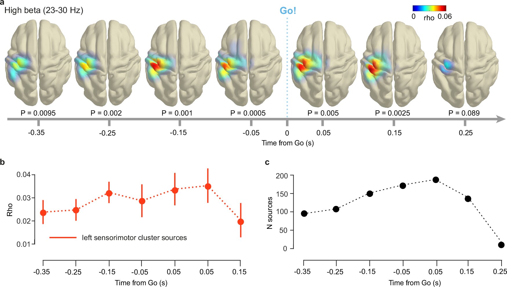 Vysoký výkon v pásmu beta v levých senzomotorických oblastech předpovídá reakční dobu na očekávané události. Kredit: Nature Communications (2025). DOI: 10.1038/s41467-025-57813-7