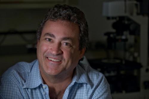 Charles Limoli, profesor radiaÄŤnĂ­ onkologie na University of California:  â€žPodĂˇnĂ­m lidskĂ˝ch nervovĂ˝ch kmenovĂ˝ch bunÄ›k se nĂˇm daĹ™Ă­ kognitivnĂ­ funkce naruĹˇenĂ© chemoterapiĂ­, obnovit.
