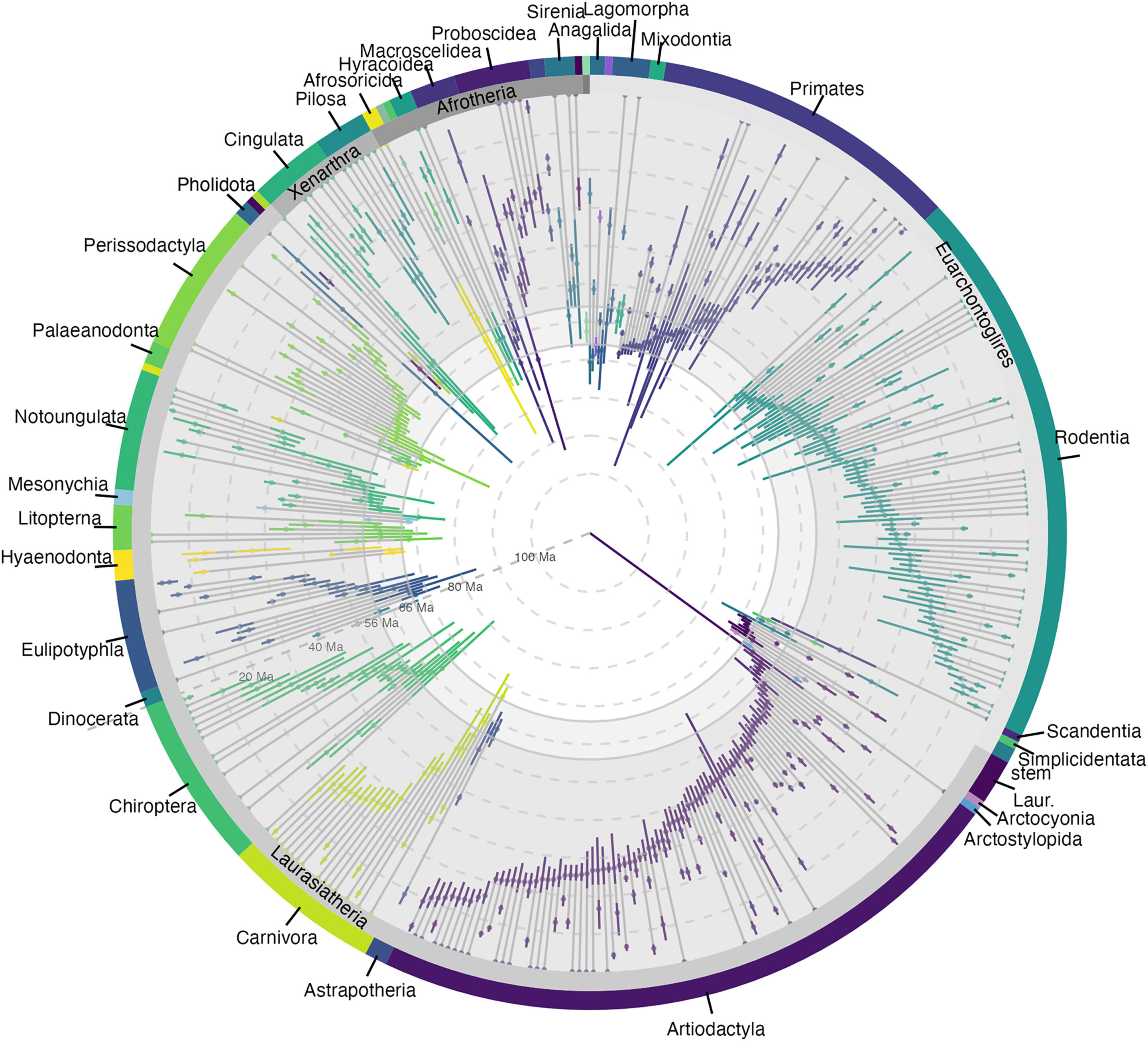 Odhady vzniku a zániku skupin plancentálů. Kredit: Carlisle et al. (2023), Current Biology.