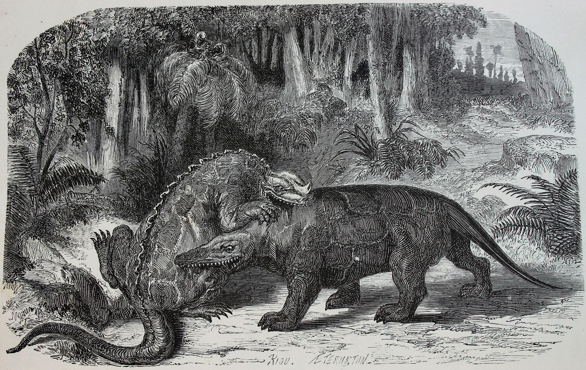 V době stanovení jména Dinosauria byla představa o těchto druhohorních plazech velmi nepřesná. Takto si iguanodona (vlevo) a megalosaura (vpravo), tedy dva ze tří rodů dinosaurů, pro něž bylo jméno původně stanoveno, představoval francouzský výtvarní