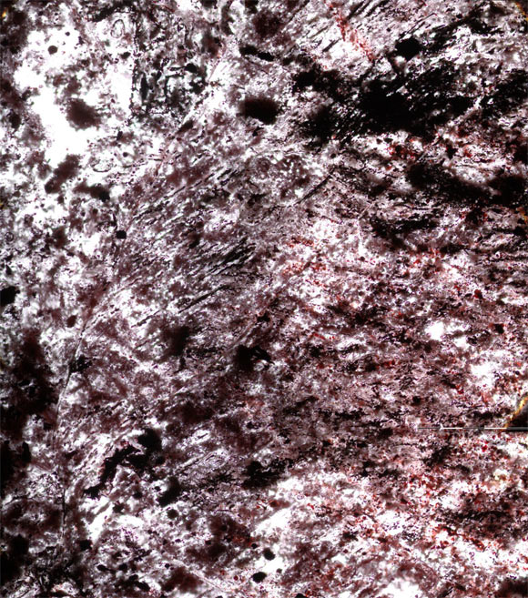 Větvící se zvlněná hematitová vlákna a shluky nepravidelných elipsoidů z Nuvvuagittuq Supracrustal Belt, Québec, Kanada. Kredit: Dominic Papineau.
