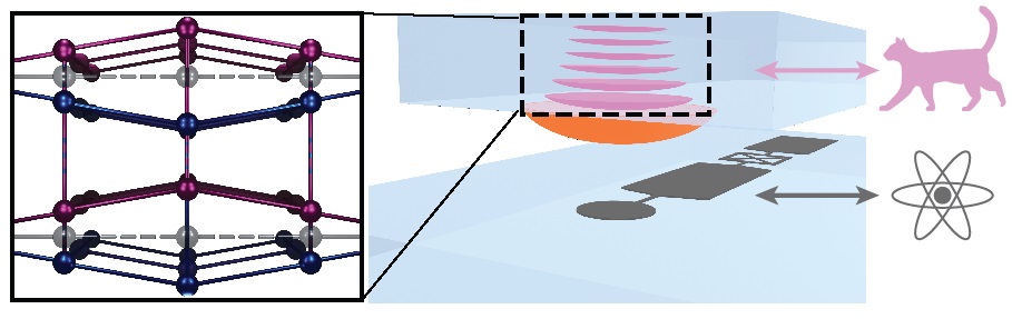 Experiment s nejtěžší kvantovou kočkou. Kredit: Yiwen Chu / ETH Zürich.