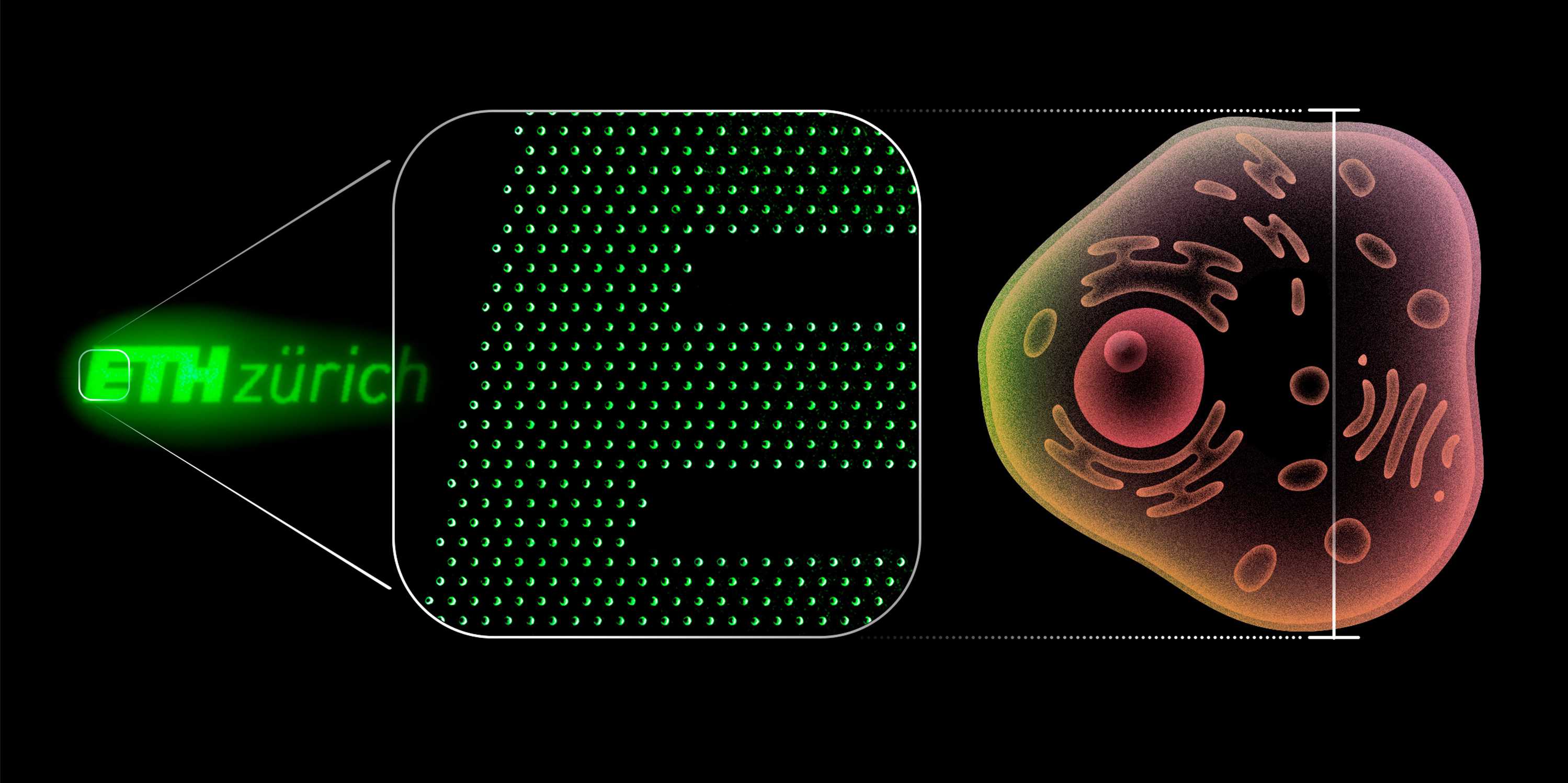 Nejmenší OLEDky. Kredit: Amanda Paganini / ETH Zürich.