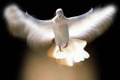 I u nĂˇs je symbolika holubice ĹľivĂˇ: â€žPovstĂˇvĂˇm skrze lĂˇsku cherubĂ­nĹŻ, posluĹˇnost andÄ›lĹŻ, podrobenost archandÄ›lĹŻ, skrze nadÄ›ji na odplatu pĹ™i zmrtvĂ˝chvstĂˇnĂ­. Skrze modlitby patriarchĹŻ, skrze vĂ˝roky prorokĹŻ, skrze vĂ­ru vyznavaÄŤ