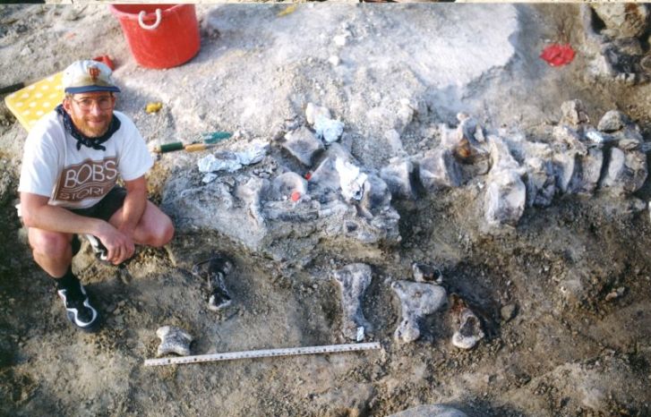 Snímek z vykopávek v souvrství Morrison v roce 1998. Fosilní obratle sauropodího ocasu překrývají otisk obří stopy brachiosauridního dinosaura. Její původce byl pravděpodobně jedním z největších známých severoamerických dinosaurů vůbec. Kredit: Archí