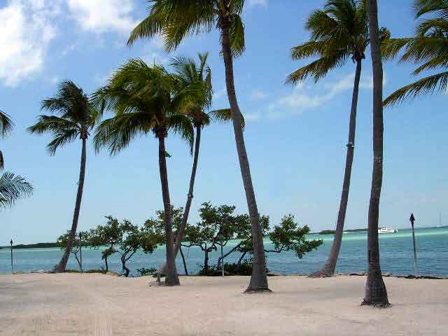 Na Floridě je mají hodně moře i hodně Slunce. Kredit: Ex1le / Wikimedia Commons.